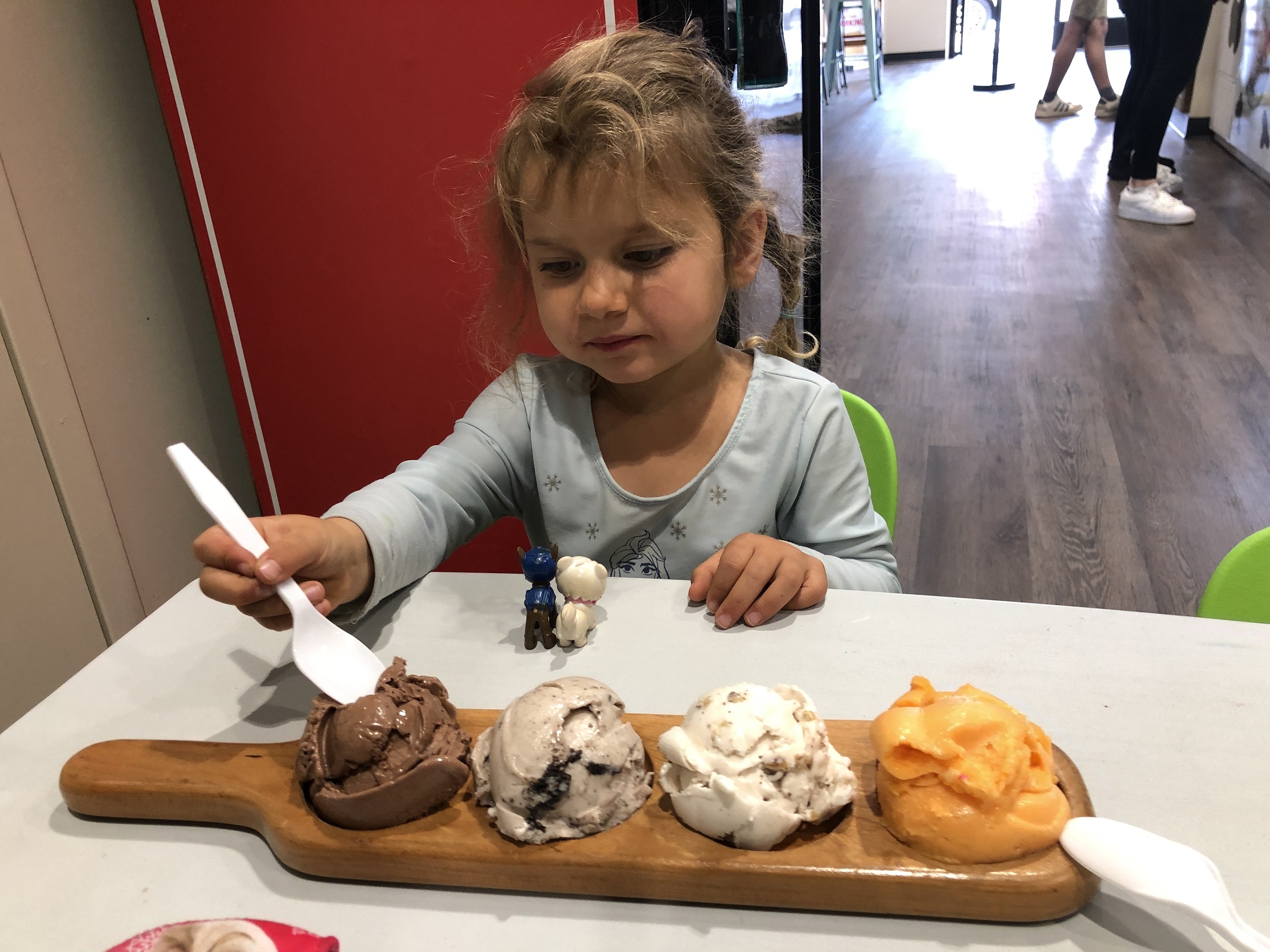 Vegan Ice Cream Paddle at Hub City Scoops in Spartanburg SC