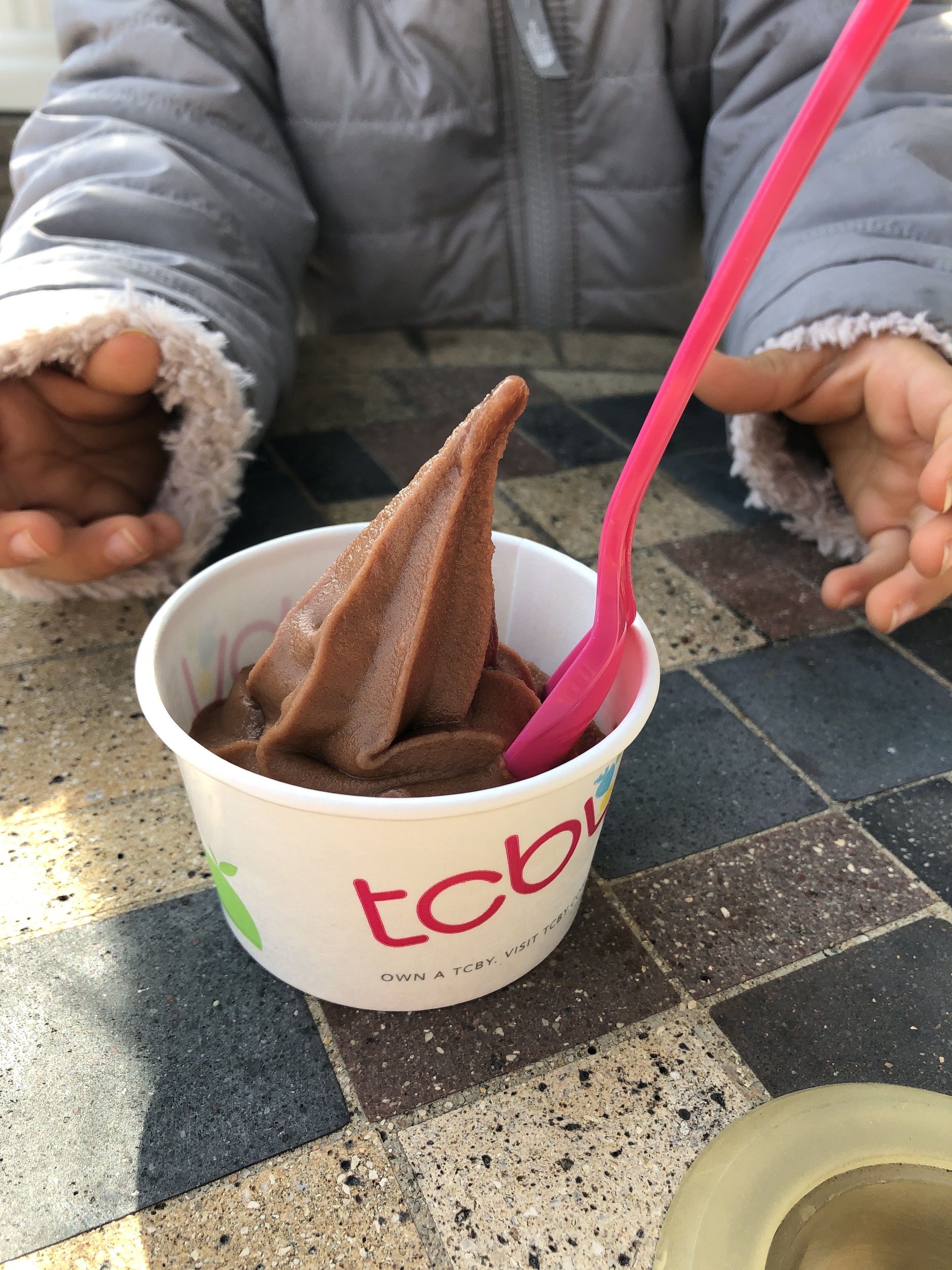 Vegan Soft Serve Ice Cream at TCBY