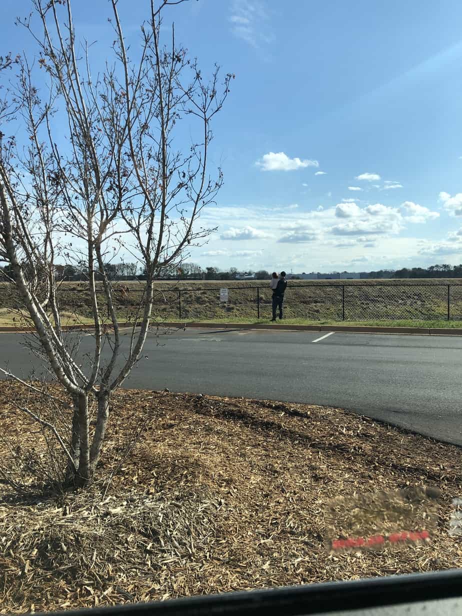 Watching airplanes after drinking coffee at Cohesive Coffee in Greenville SC