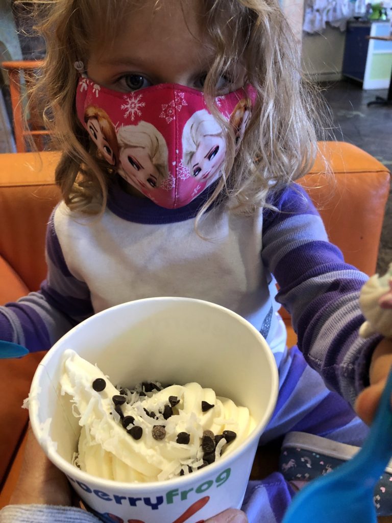 vegan frozen yogurt with toppings at blueberry frog in greenville, SC