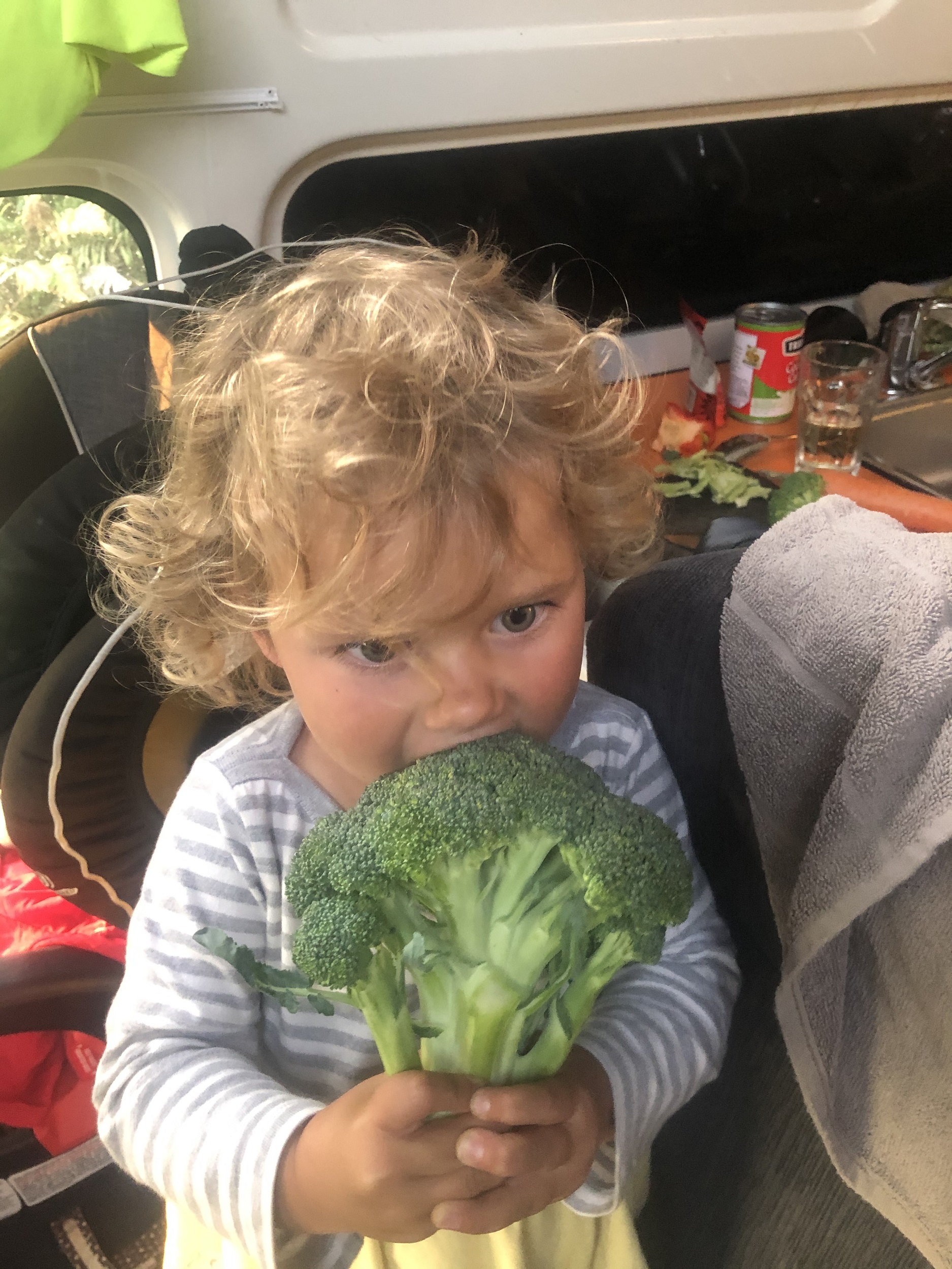 Vegan child eating a whole head of raw broccoli while traveling