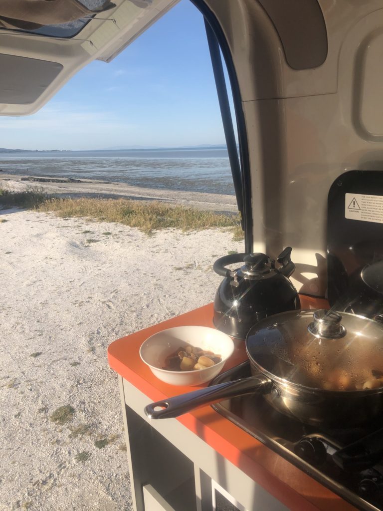 Cooking vegan curry in a campervan while traveling in New Zealand