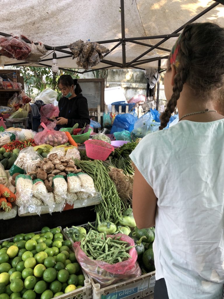 Vegan mother shopping at a local market in Luang Prabang, Laos