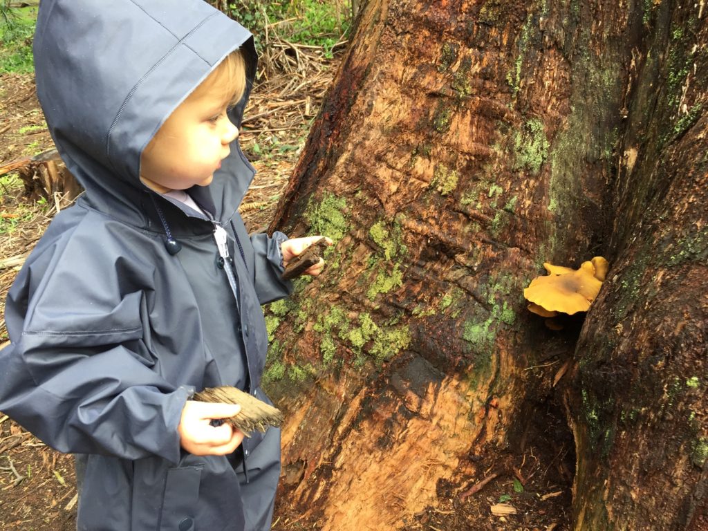 Toddler in a rain suit on a hike