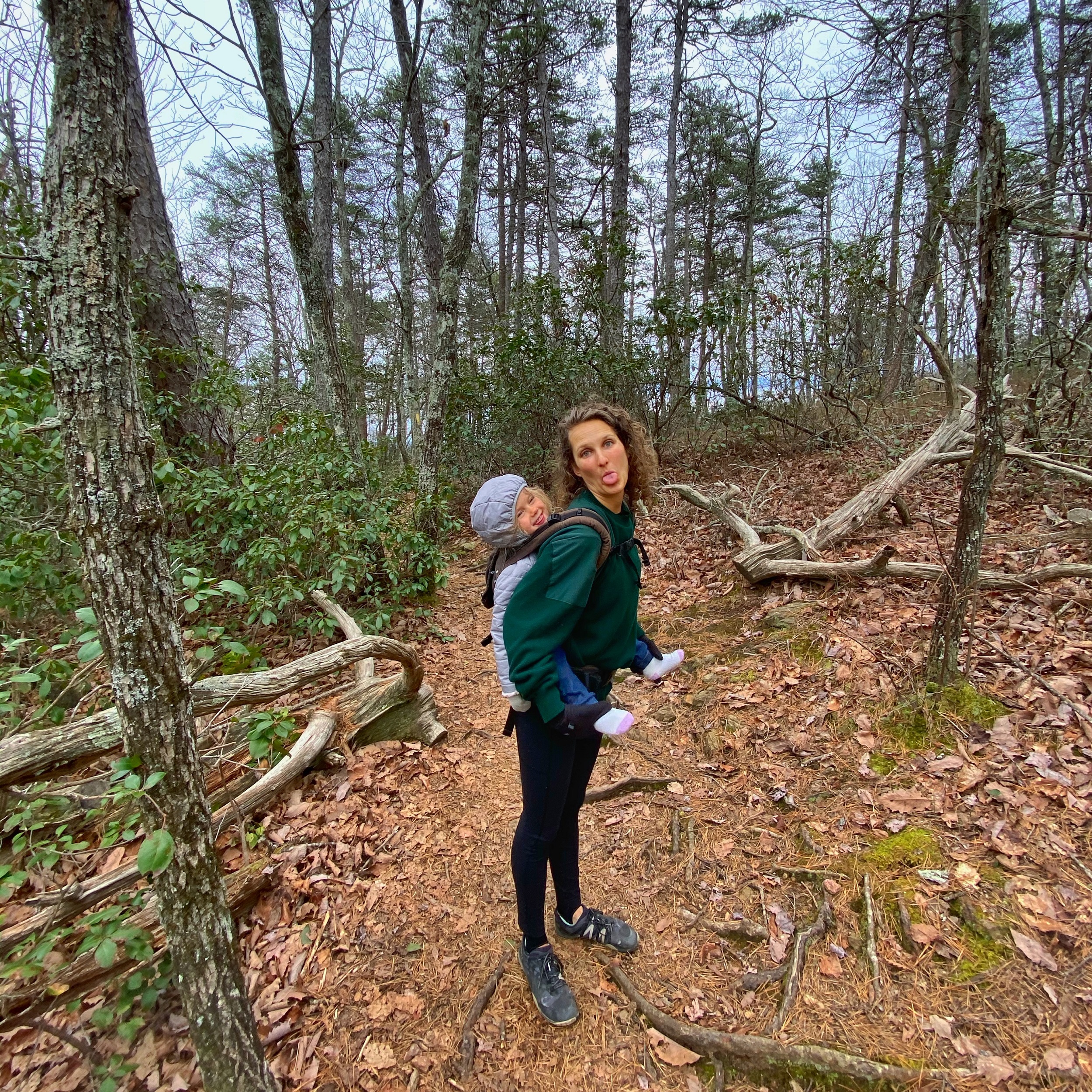 Toddler in a carrier when hiking