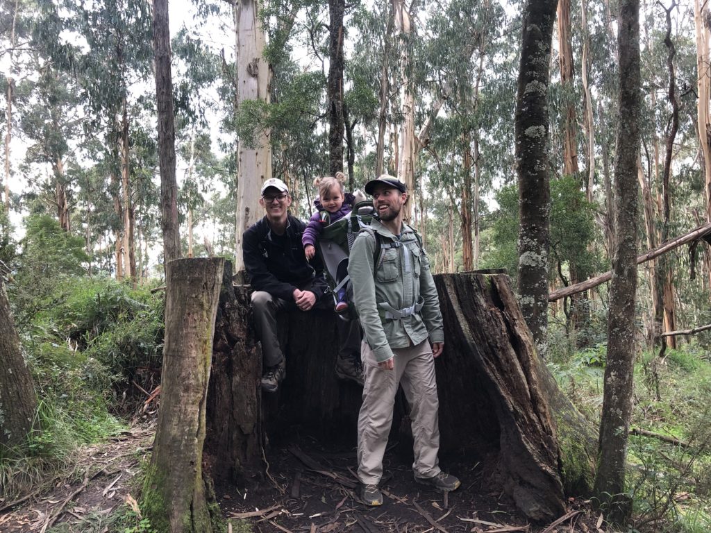 Hiking with a toddler in a hiking backpack in the Dandenong Ranges in Victoria, Australia