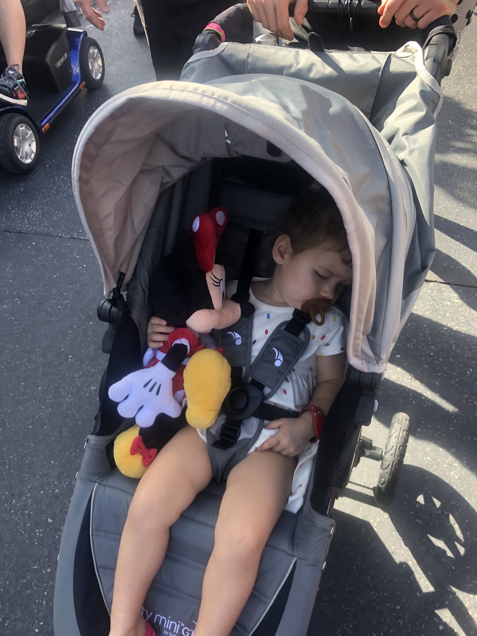 Toddler taking a nap in a stroller in Disney World