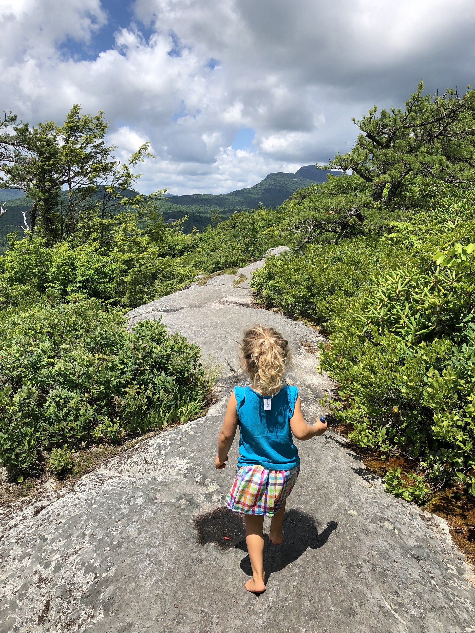 Flat Rock Trail - A great hike for kids near Boone NC