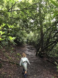 Boone Fork Trail is a fun spot for kids to hike