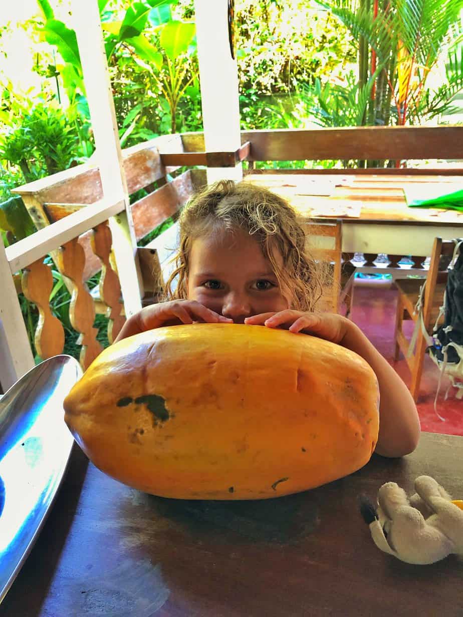 Papaya from a fruit stand in Puerto Viejo, Costa Rica
