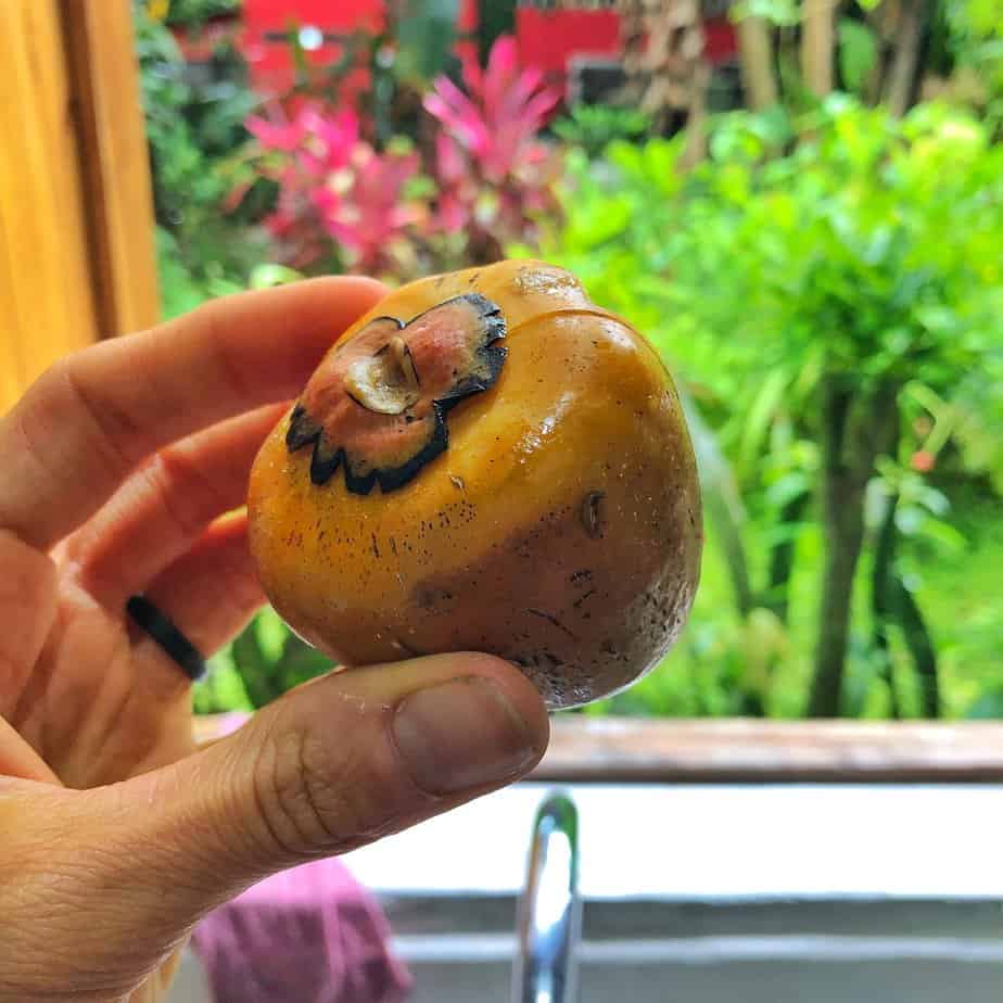 Fruit from Farmer's Market in Puerto Viejo