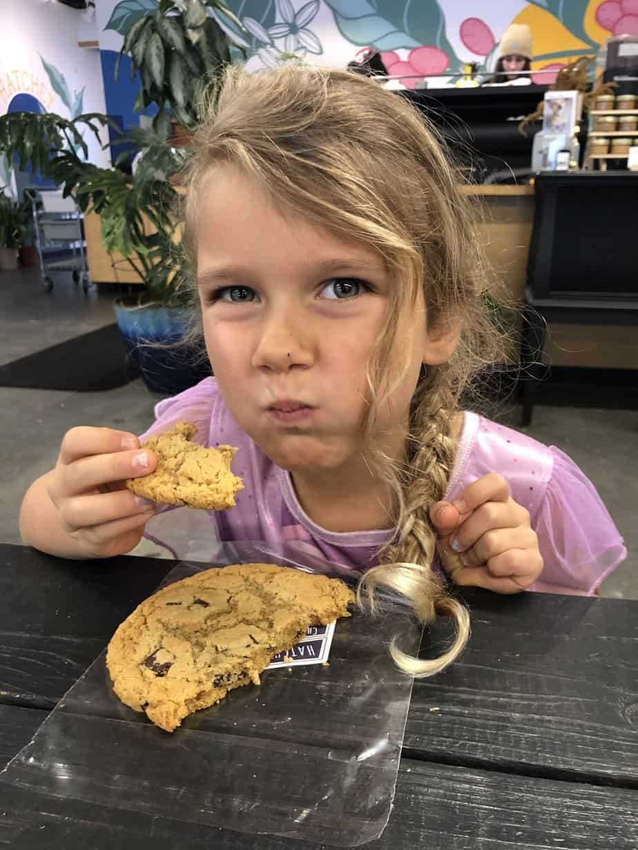 vegan and gluten free cookie at Hatchet Coffee in Boone NC