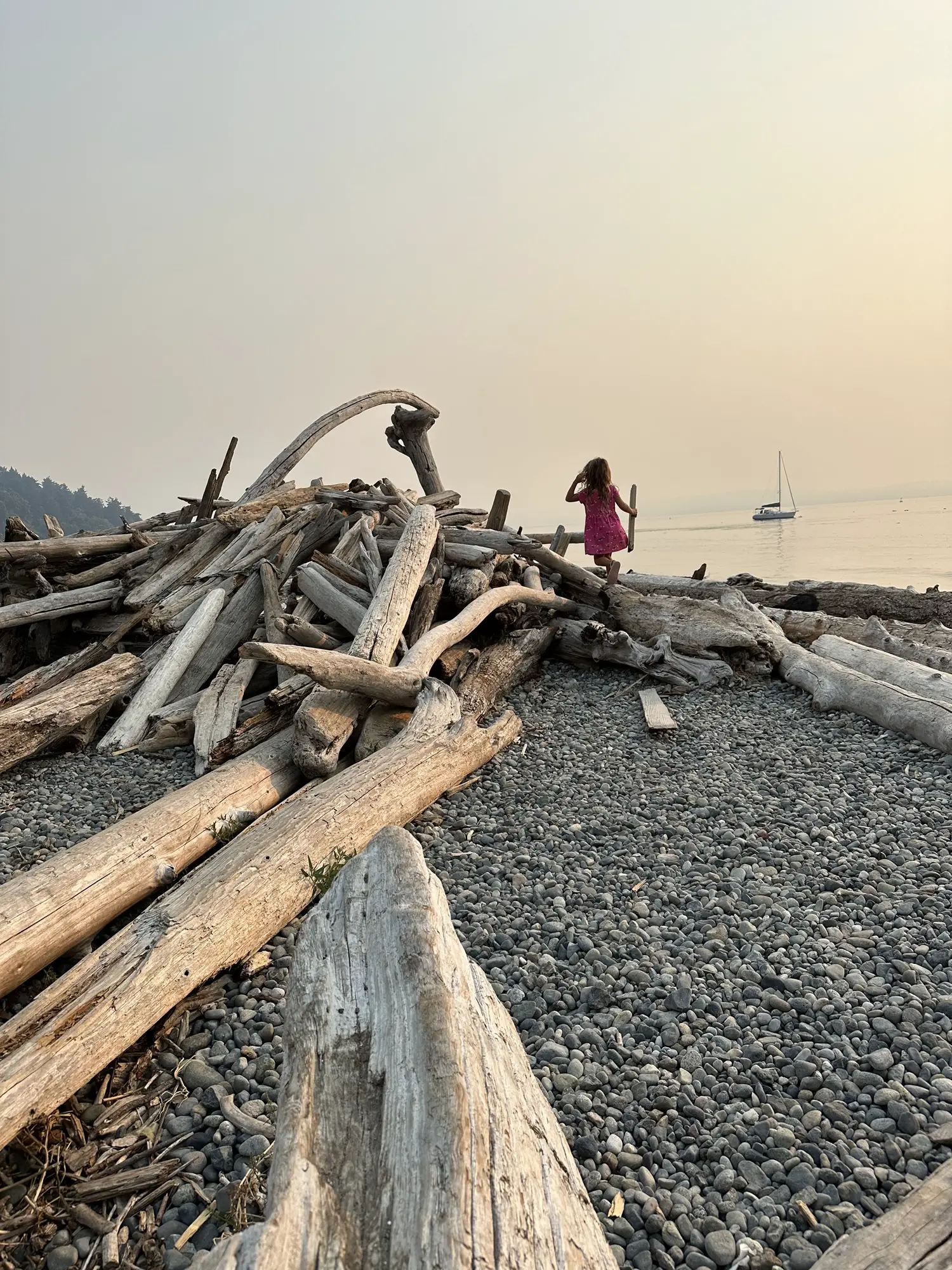Lowman Beach is a great activity with kids in West Seattle to beat the crowds