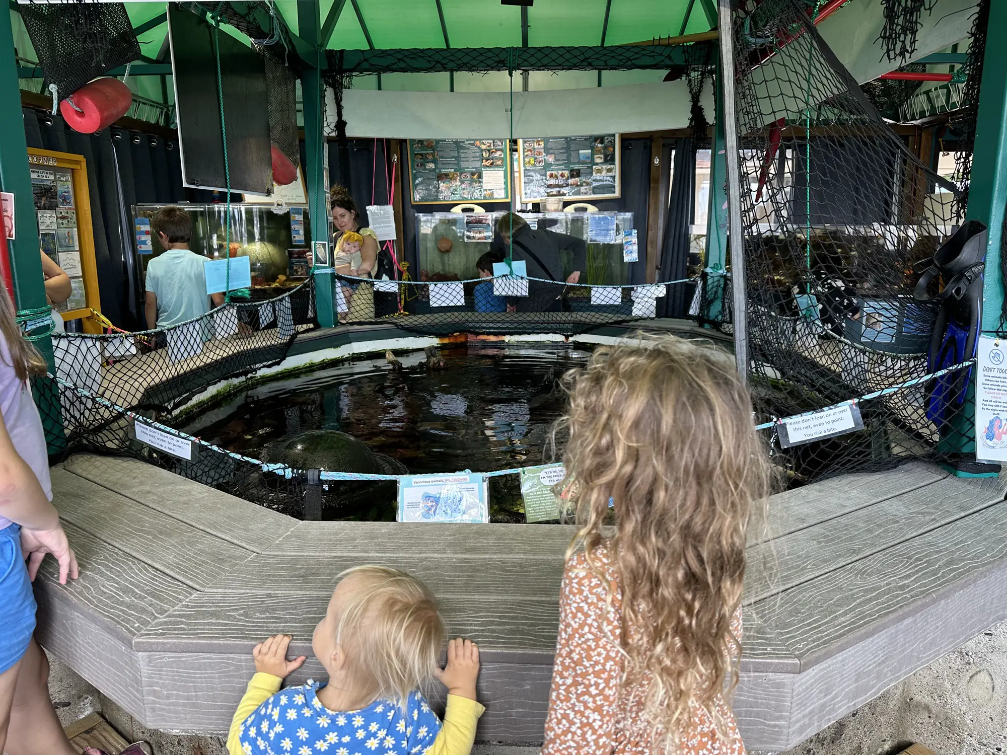 Marine Life Center is a free activity for kids in Bellingham