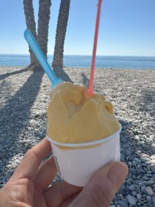 la herradura has vegan gelato options at bahia gelato playa
