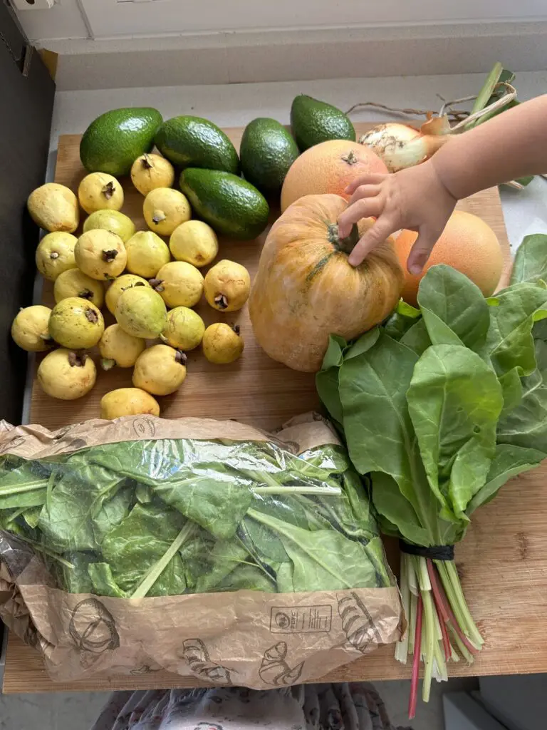 organic produce box in la herradura, spain