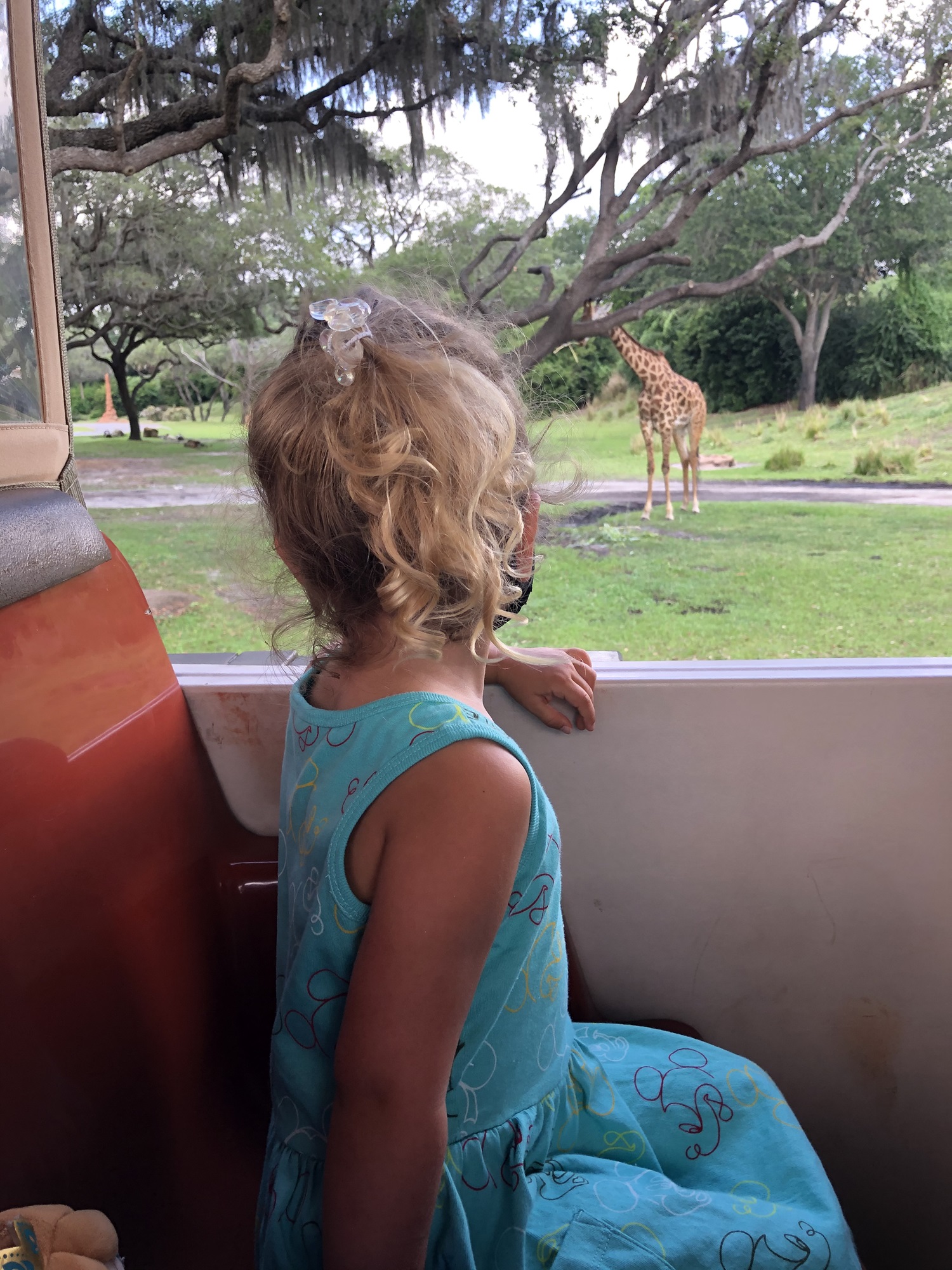 Toddler sees a giraffe on Kilimanjaro Safaris in Animal Kingdom in Disney World