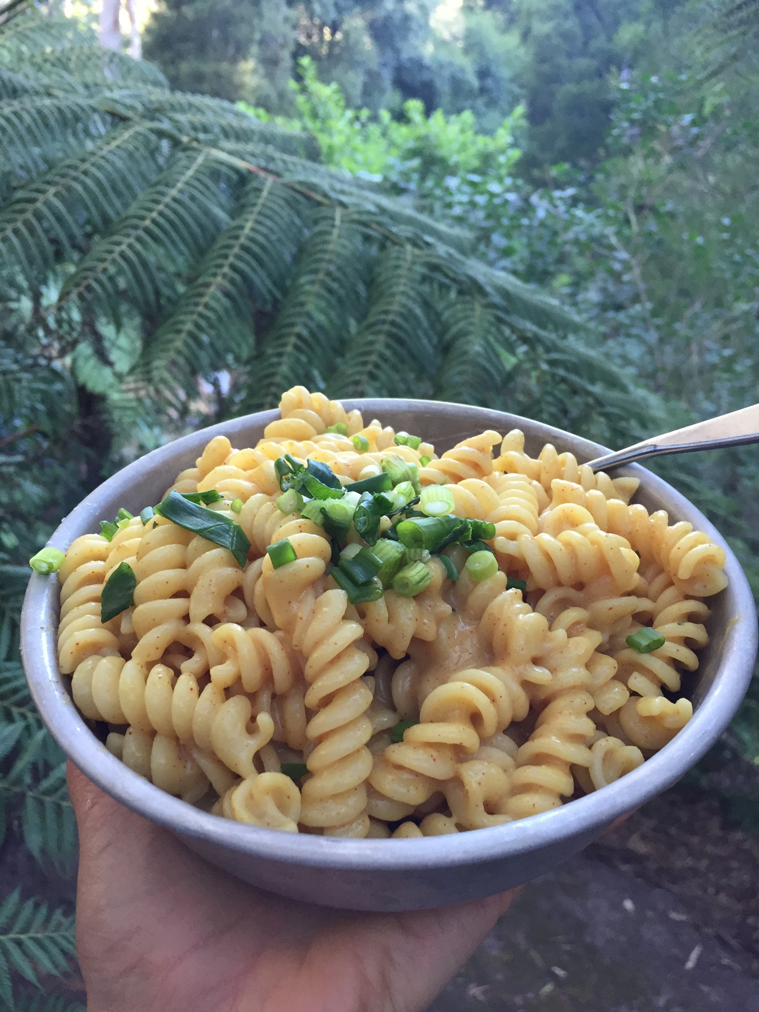 vegan mac n'cheese for a vegan lunch on the beach