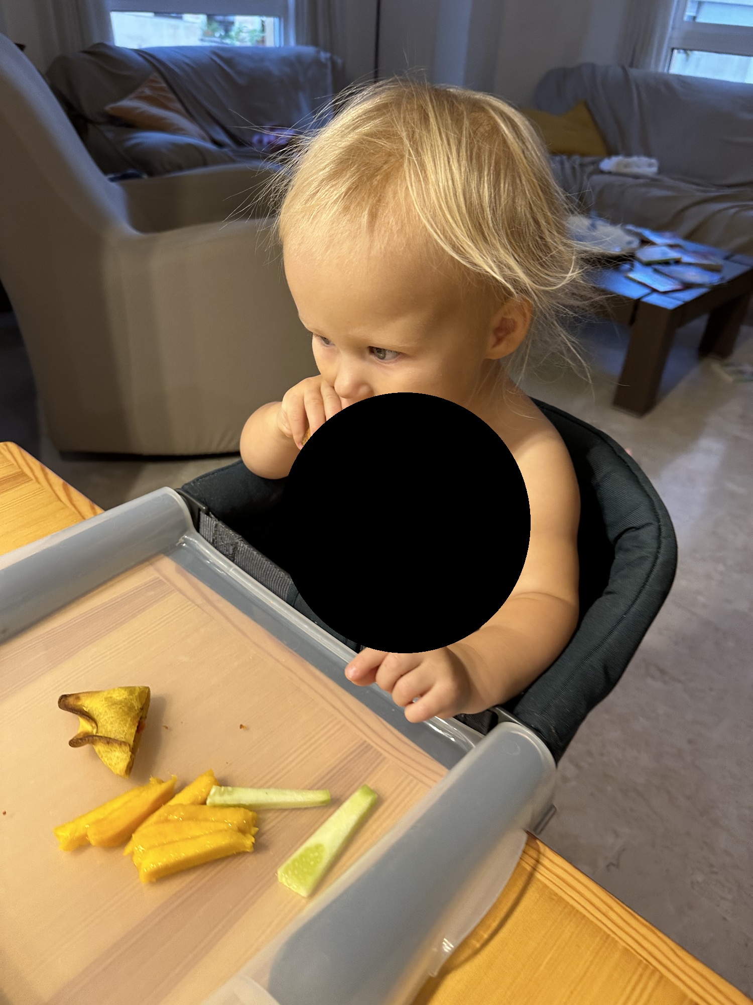 Inglesina portable high chair while traveling with a toddler