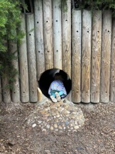 Nature based play area at the free Princess Diana Memorial Playground in London