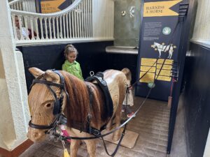 Interactive activity of tacking a wooden horse at the Royal Mews in London