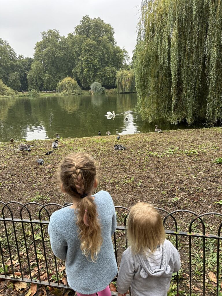 Kids watching the swans and other birds at St James Park in London