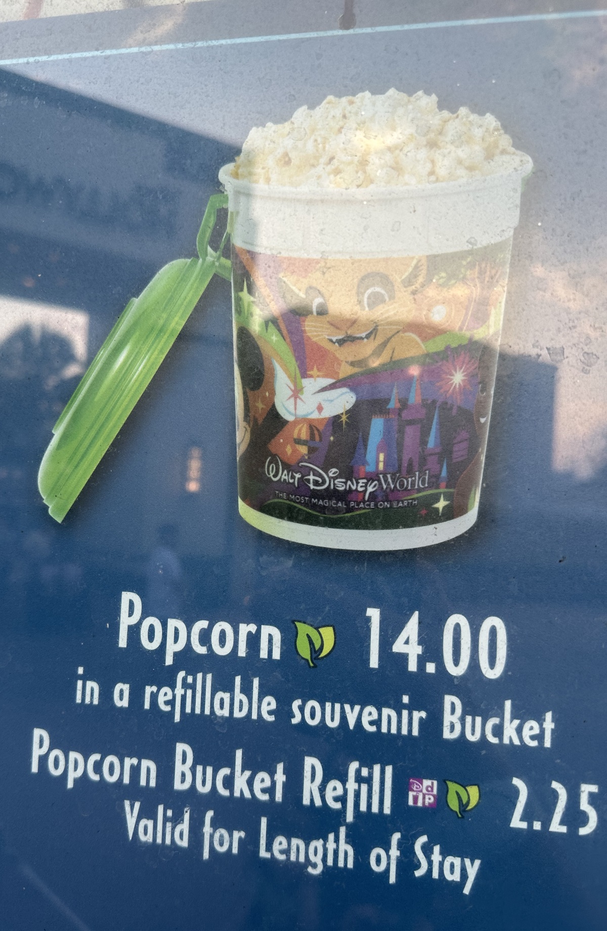 Disney World popcorn is vegan and getting a bucket is worth the price if you plan on getting refills