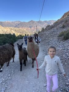 Hiking with a llama is the perfect thing to do with kids in Jujuy Argentina