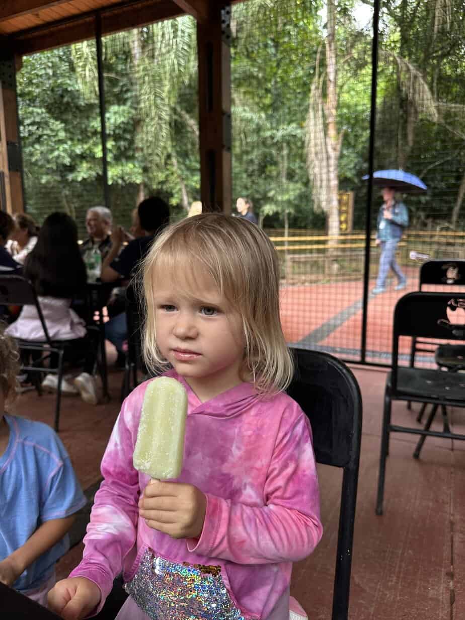 Iguazu Argentina Cage A cage to protect people from the coaties in Iguazu Falls, Argentina