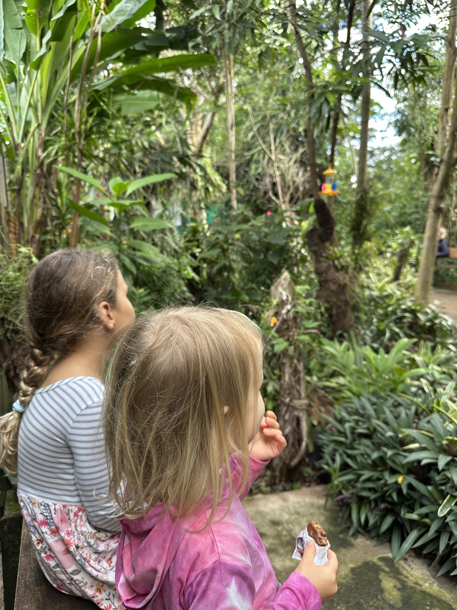 Iguazu Hummingbird Garden Bored kids at hummingbird garden in Puerto Iguazu, Argentina