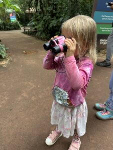 Consider adding Parque das aves to your Iguazu Falls itinerary on the day you visit the Brazil side