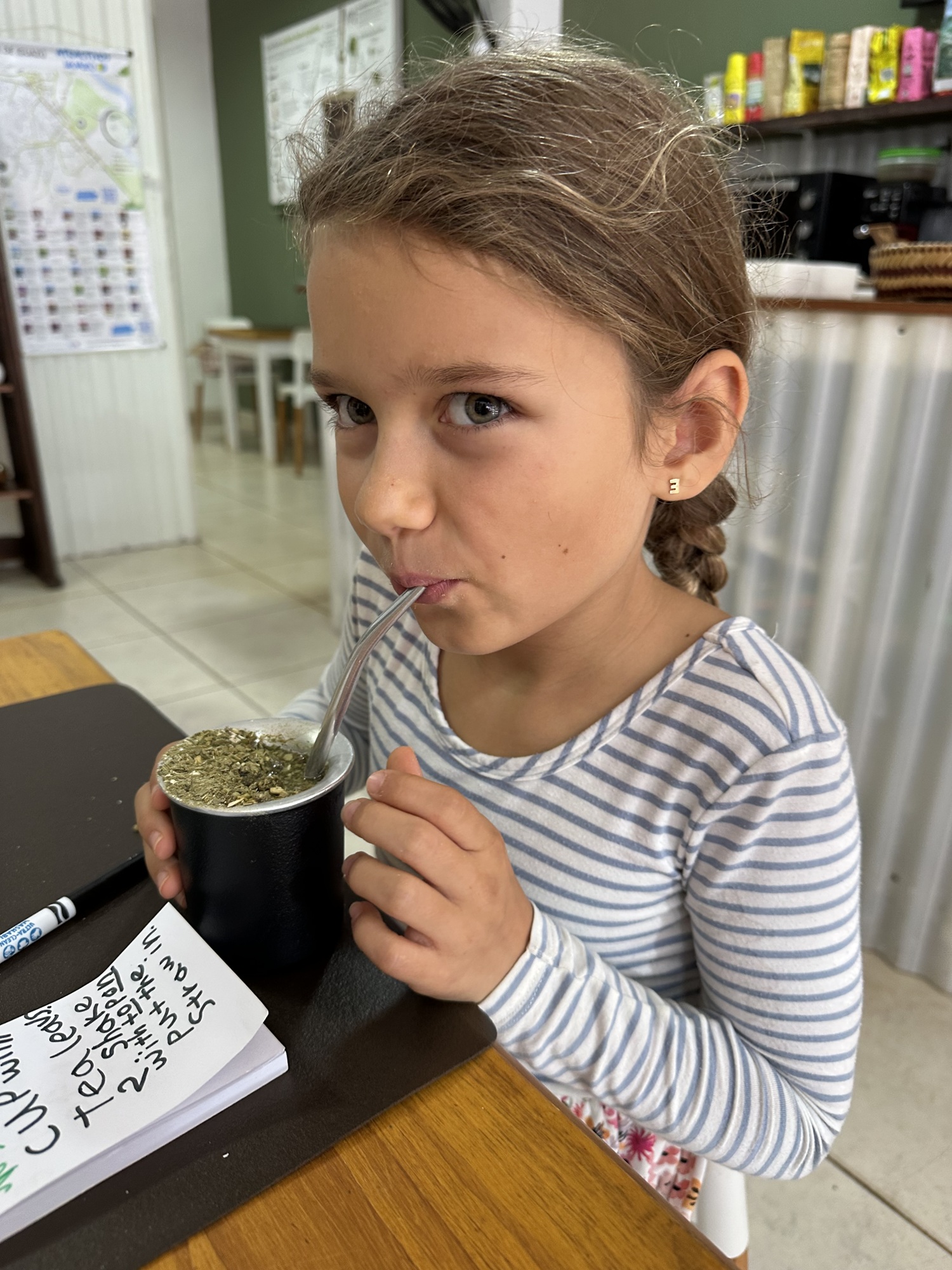 Iguazu Yerba Mate Club Yerba Mate tasting is a must do activity for an Iguazu Falls Itinerary