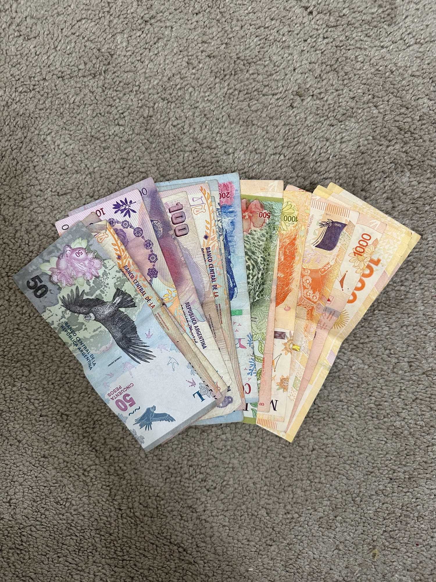 Argentinian pesos in cash