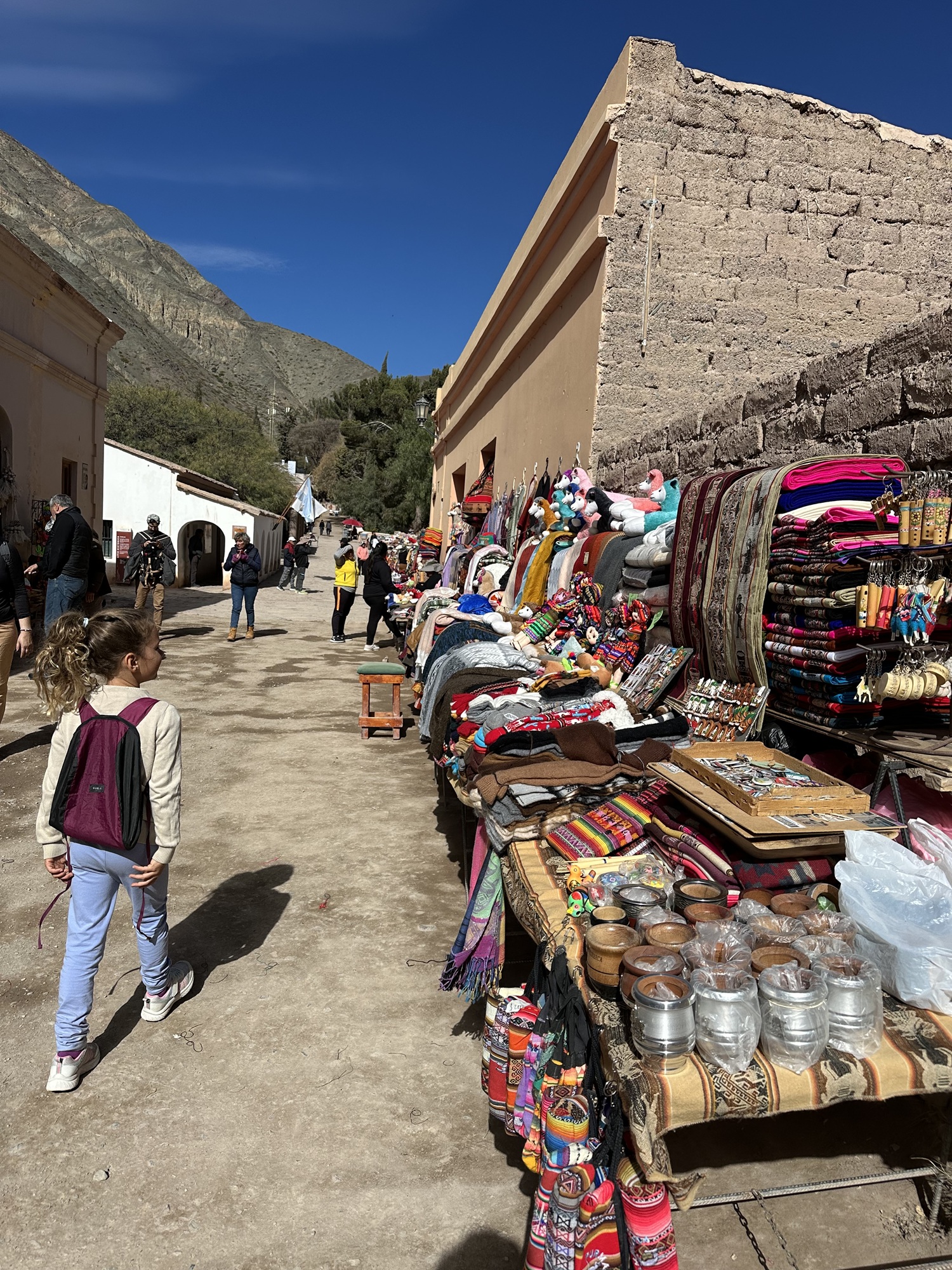 Souvenir market in Purmamarca, Argentina