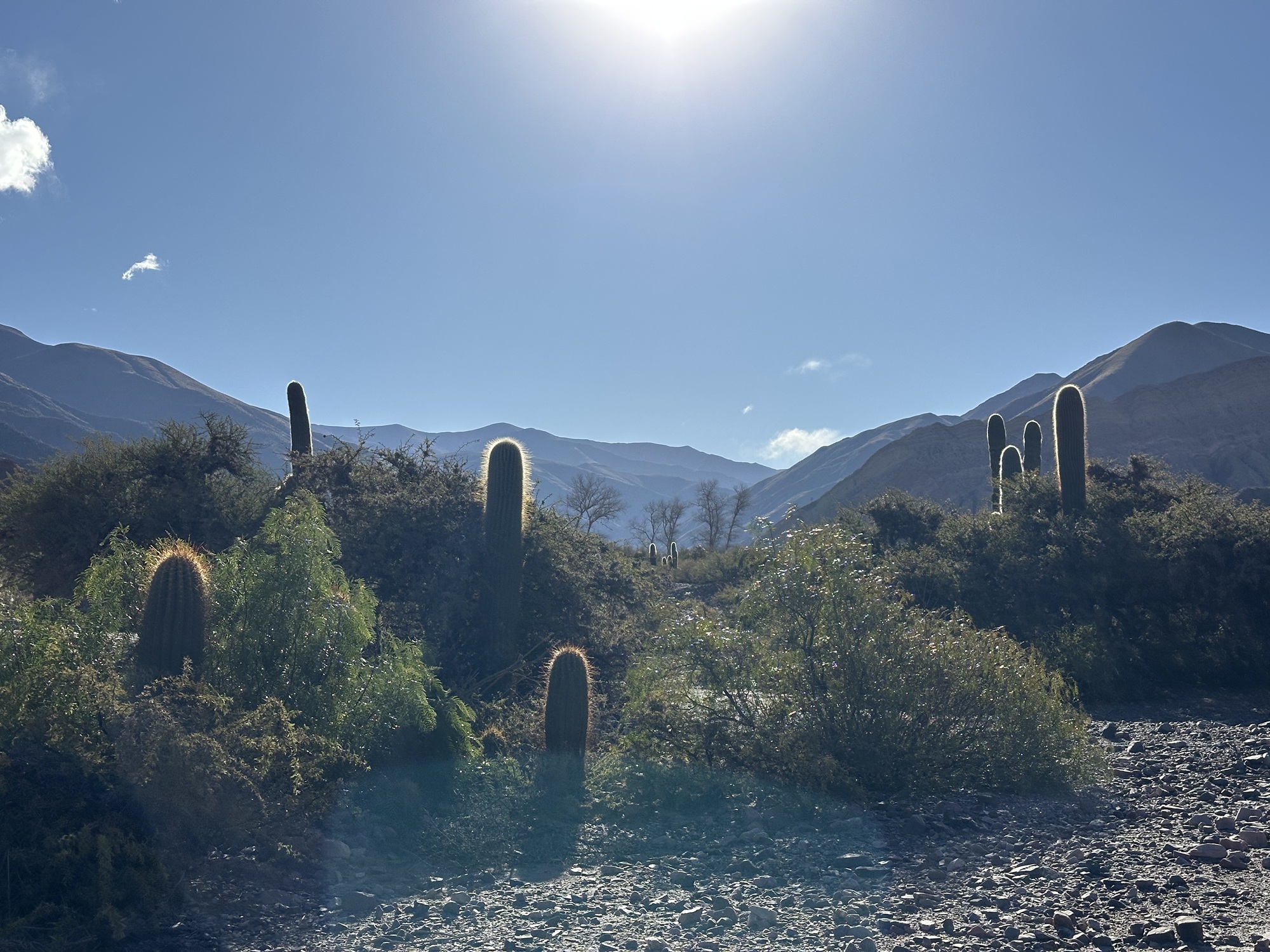 The best thing to do in Jujuy, Argentina is to relax and enjoy the scenery and beautiful nature