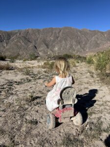 Toys available at Cabañas La Nochera near Tilcara, Argentina