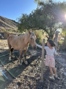 Girl petting a horse in Tilcara, Argentina